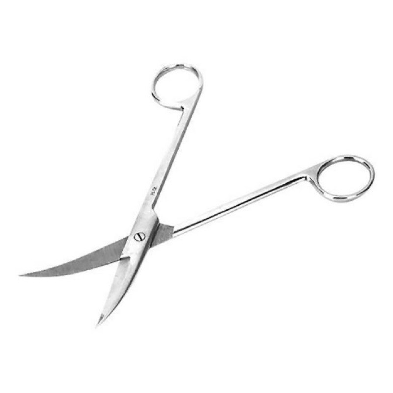 z5209944505373_f7527b5220f39d5655ae052004c625b9